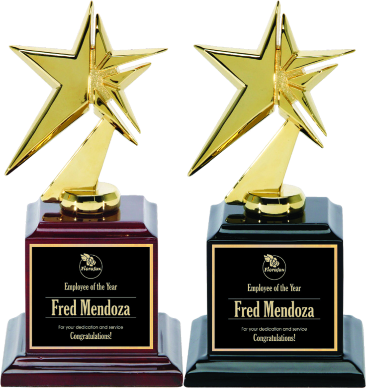 Gold Metal Star on High-Gloss Base personalized recognition award